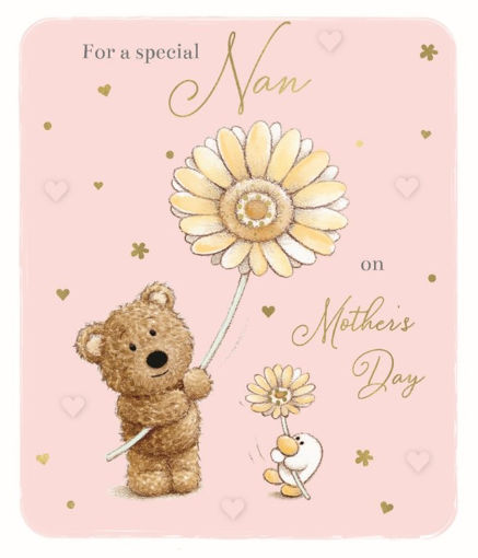 Picture of FOR A SPECIAL NAN ON MOTHERS DAY